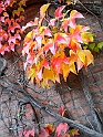 pix 312